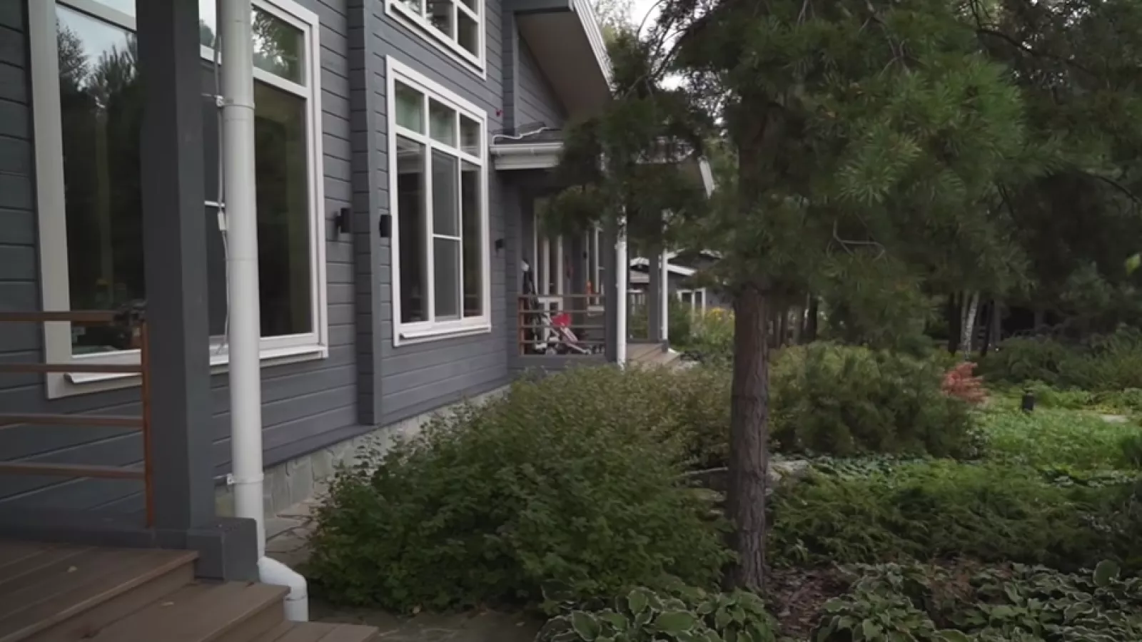 Посевной газон — фото 4